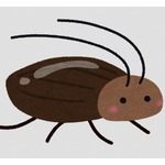 鼻から侵入したゴキブリ、頭の中で動き回る