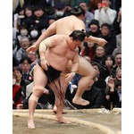 若隆景、３１歳で初金星＝大相撲春場所