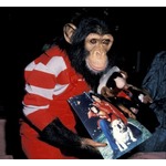 マイケル・ジャクソンのペット&ldquo;バブルス君&rdquo;は健在、今も遺産管理団体が世話代拠出