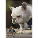 ぶひ可愛い鼻ぺちゃ犬の世界、合同写真＆物販展「鼻ぺちゃ展」開催。