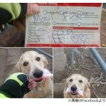 郵便屋さんとわんこの心温まる友情