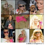 14年連れ添ったパリス愛犬死す、過去に盗難騒動の&ldquo;ティンカーベル&rdquo;。