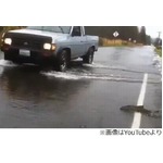 冠水した道路を&ldquo;遡上&rdquo;する鮭、流れに逆らってするすると道路横断も。