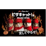 猫の手借りた「ピザキャット」、4匹の猫が全力で「ピザハット」運営挑戦。