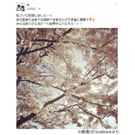 「ついに妊娠」AIが喜び爆発、SNSなどに「世界中にハピネス！！！」。