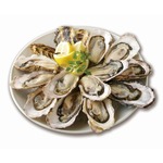 オイスターバー27店舗が生牡蠣全品半額