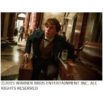 新「ハリポタ」主人公の姿解禁、&ldquo;魔法のスーツケース&rdquo;の中身がカギ。