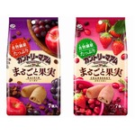 フルーティなカントリーマアム、チョコチップの代わりにドライフルーツ。