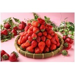 フレッシュあまおうが食べ放題、ちらし寿司やパスタなどのいちご料理も。