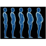 &ldquo;太ってるだけ&rdquo;なら早死せず、肥満と寿命の関係が過去10年で変化。