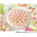 キルフェボンが白イチゴタルト、濃厚な香りとたっぷりの果汁が味わえる。