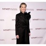 トイレ探そうと転倒、大理石の床に&ldquo;顔面強打&rdquo;&hellip;シャロン・ストーンがケガの理由説明