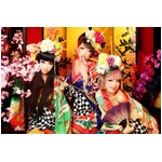 あやまんJAPANがメンバー募集、ファンタジスタさくらだ&ldquo;勝ち逃げ&rdquo;で。