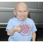 オースティン・パワーズのミニ・ミーに心配の声