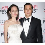 ブラピ弁護団は共同親権獲得に自信