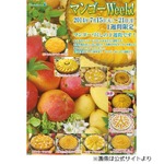 キルフェボンがマンゴー三昧に、1週間限定の「マンゴーWeek！」開催へ。