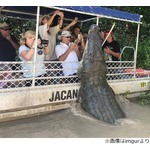 巨大ワニ接近で超危険、でも観光客は撮影に夢中&hellip;
