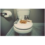 &ldquo;トイレで食事&rdquo;の経験ある？ 全体12％も20代の5人に1人は「ある」。