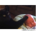 ぐずる赤ちゃんをなだめる猫、頭をなでなでする&ldquo;優しい動画&rdquo;が話題に。