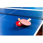 タモリ一言で世界の卓球台変化、暗い緑色から青色へ変更のきっかけに。