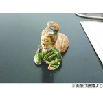 &ldquo;立ち小便&rdquo;で女性像が出土、気になる専門家の鑑定の結果は&hellip;&hellip;。