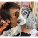 高橋克典、愛犬&ldquo;ジェニーちゃん&rdquo;の死を報告「先に行って待っててな」