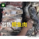 スーパーにワニ出没&rarr;捉えてぶつ切り肉にして販売