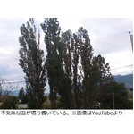 街に響き渡る不気味な音の謎、一部住民は&ldquo;スカイクエイク&rdquo;疑う。