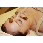 顔にカタツムリ這わせ美肌に、シーズ・ラボが&ldquo;生カタツムリ体験&rdquo;。