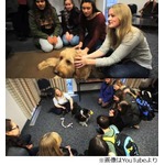 大学に学生癒やす&ldquo;犬ルーム&rdquo;、かわいい犬と遊んで勉強疲れも解消。