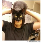 頭に黒猫のせ&ldquo;キャットマン&rdquo;、米サイトへの投稿きっかけで話題に。