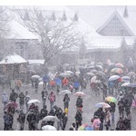 「雪は食べちゃダメ！」さまざまな危険性を指摘