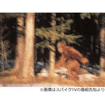 ビッグフット&ldquo;証明&rdquo;なら8億円、米国で史上最高賞金のテレビ番組。