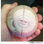 あまりにも悪者っぽいタマネギ、薄気味悪くニヤリと笑う&ldquo;悪人顔&rdquo;。