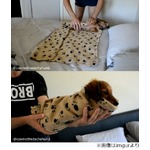 &ldquo;変わった&rdquo;ブリトーの作り方、くるくる巻いていく動画が人気。