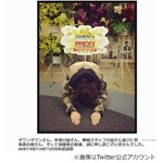 西川貴教&ldquo;放送事故&rdquo;で土下座、元妻・PUFFY吉村の話で動揺＆歌詞飛ぶ。