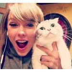 「テイラー・スウィフトが飼っている猫種、購入しないで」専門家が警告