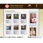 ソーセージにする豚を&ldquo;選挙&rdquo;、ドイツの農場が始めた販売方法の狙い。