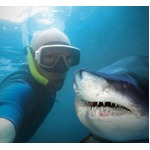 &ldquo;自撮り&rdquo;すると旅の満足度がアップ