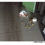 出前キャンセルでマンションに料理ぶちまけ