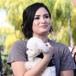 「アナ雪」歌手がエミネム熱望、互いに&ldquo;回復中&rdquo;で親しみ感じる。