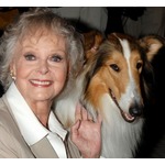 「名犬ラッシー」「宇宙家族ロビンソン」の米女優、100歳で死去
