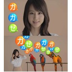 堀北真希がオウム3羽と初共演、飼育員でも難しい手のひらで餌やりも。