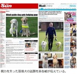 視力を失った盲導犬、使命終えるも新たな盲導犬と飼い主と共に仲良く生活。