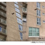 9階から飛び降りた&ldquo;幸運のアライグマ&rdquo;が話題