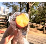 全国の絶品焼きいもを&ldquo;野外&rdquo;で食べる