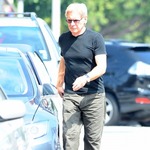 ハリソン・フォードは飛行機事故で記憶飛ぶ「いくつかは覚えている」。