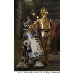 新作でC-3POは&ldquo;赤い左腕&rdquo;に、期待高まるR2-D2とのコンビ写真解禁。