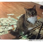 &ldquo;お金をねだるネコ&rdquo;が話題に