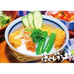 クラッシュ氷でキンキン「冷やしかつ丼」